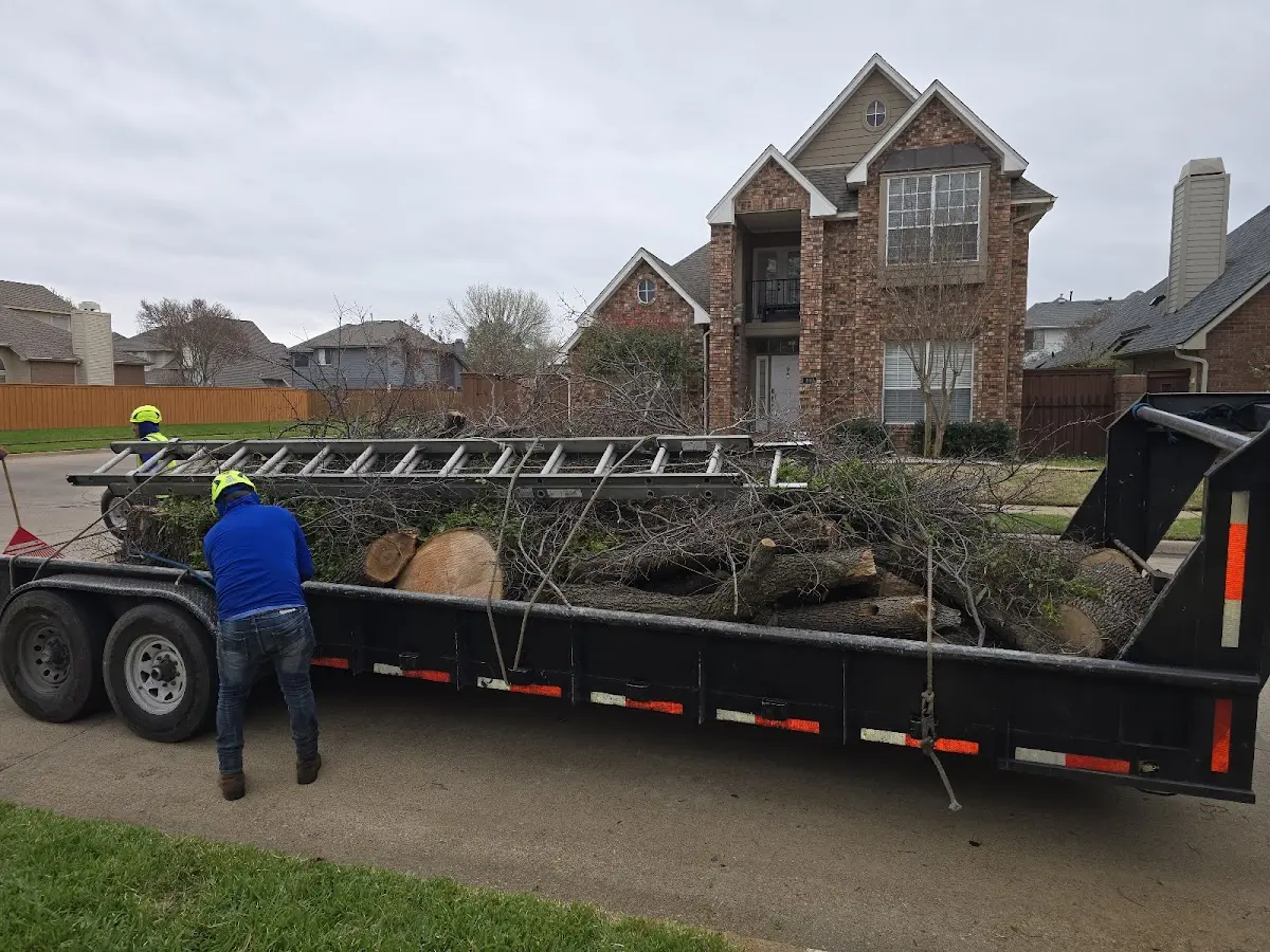 Expert Tree Removal with proper safety equipment in Towner